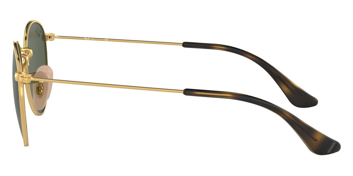 Ray-Ban® Junior Round RJ9547S Sunglasses