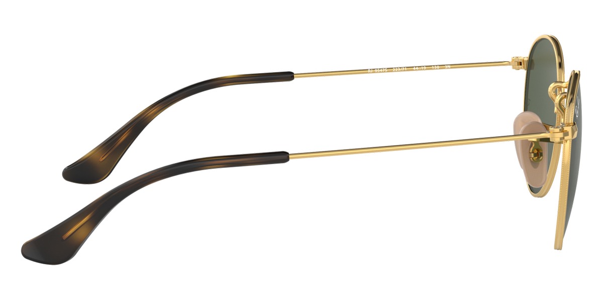 Ray-Ban® Junior Round RJ9547S Sunglasses