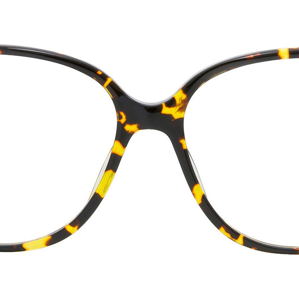 Barton Perreira® Noula - Heroine Chic/Gold Eyeglasses