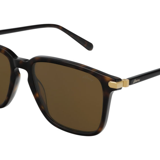 Brioni® BR0057S - Havana / Brown Sunglasses