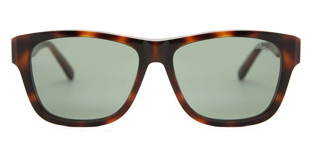 Brioni® BR0081S - Havana / Green Sunglasses