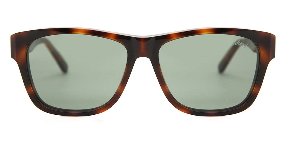 Brioni® BR0081S - Havana / Green Sunglasses