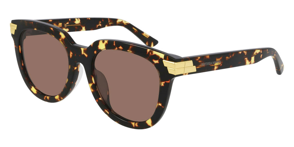 Bottega Veneta® BV1104SA - Havana / Brown Sunglasses