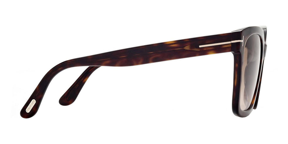 Tom Ford® FT0952 Selby FT0952 Selby 52F 55 - 52F - Shiny Classic Dark Havana / Gradient Brown Lenses Sunglasses