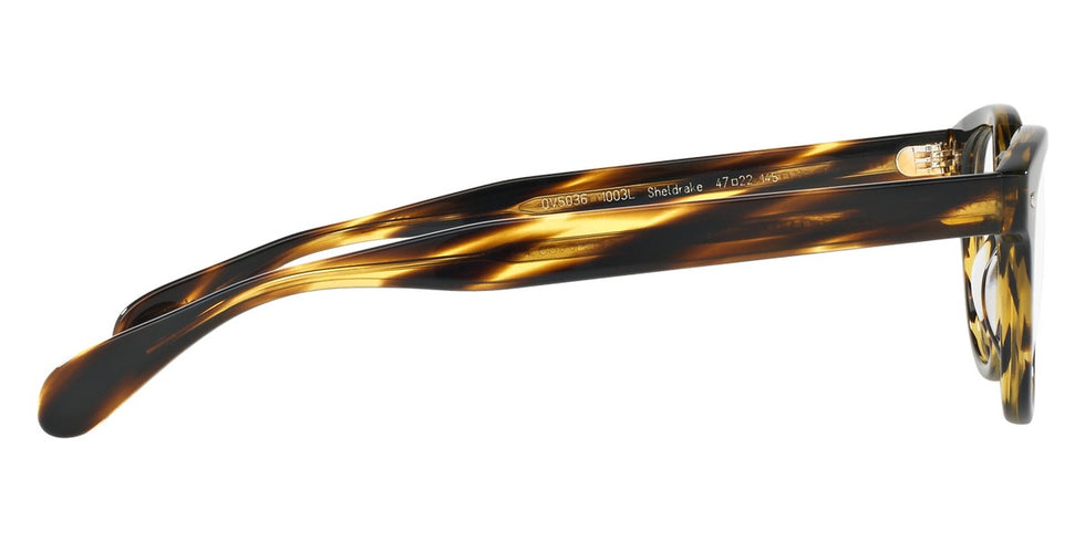 Oliver Peoples® Sheldrake - Eyeglasses