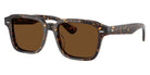 Oliver Peoples® Errisson Sun OP 0OV5562SU 174157 51 - Atago Tortoise / True Brown Polar Sunglasses
