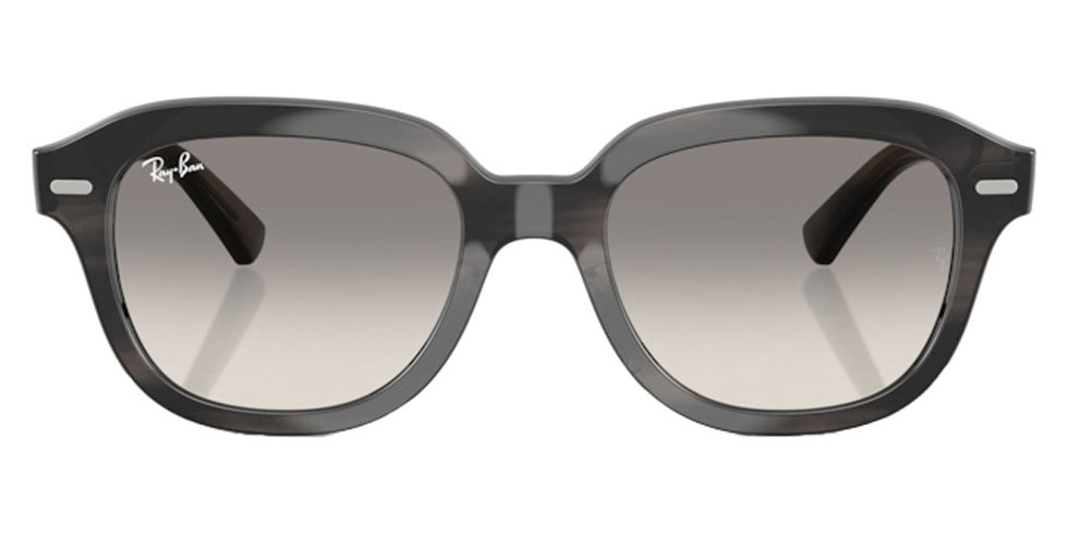 Ray-Ban® Erik RB4398F