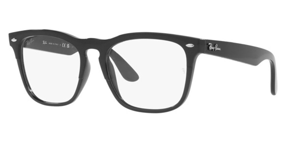 Ray-Ban® Steve RX4487Vf