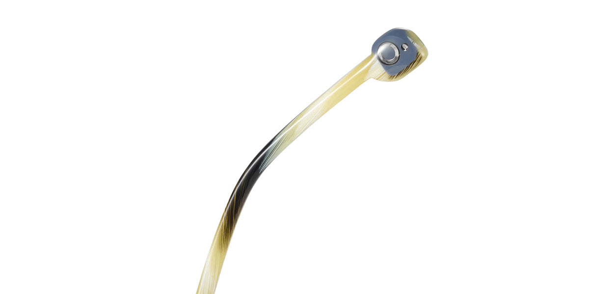 Etnia Barcelona® EVE 4 EVE 49O BKHO - BKHO Black/Horn Eyeglasses