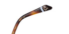 Etnia Barcelona® VILLA GREGORIANA 4 VGREGO 55O BZBL - BZBL Eyeglasses