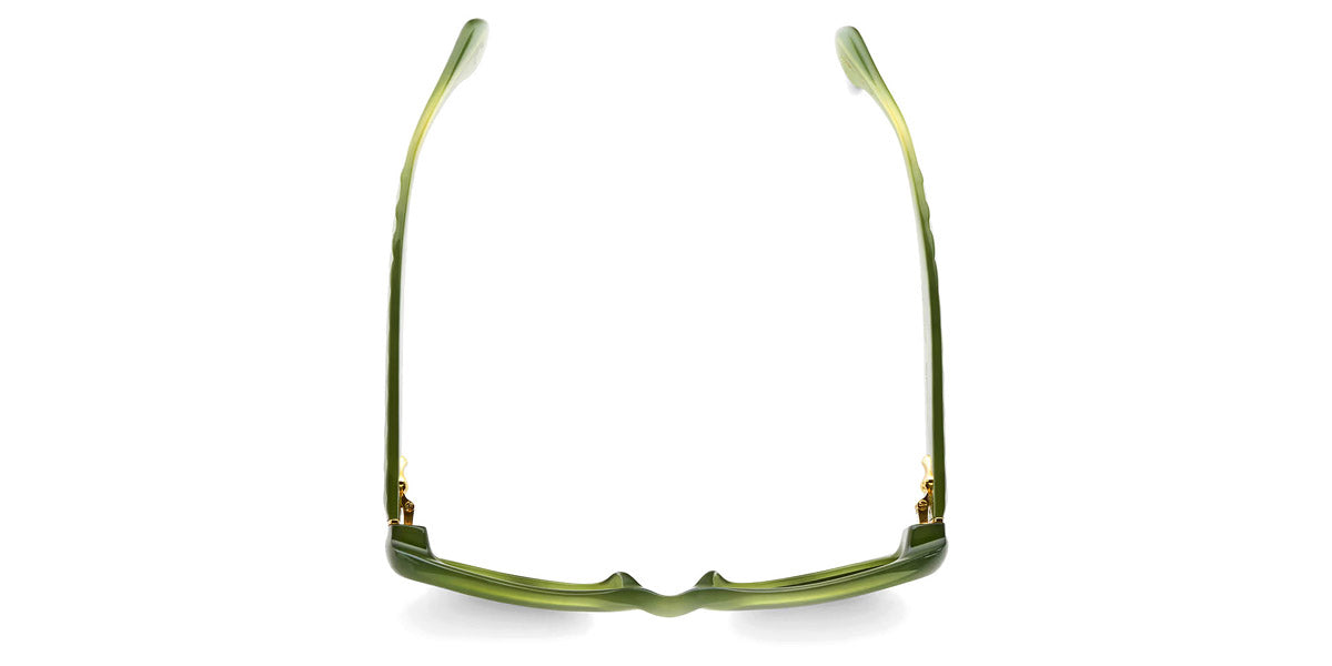 Etnia Barcelona® CASA BATLLO 5 BATLLO 52S GR - GR Green Sunglasses