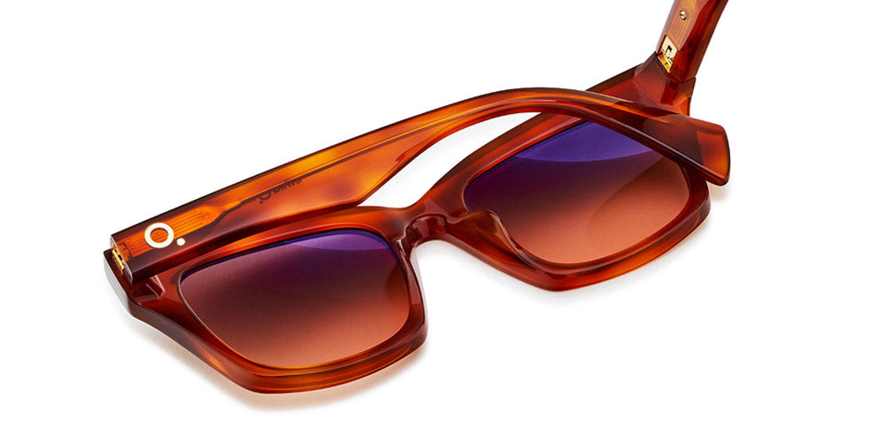Etnia Barcelona® BERTINI 5 BERTIN 51S HVOG - HVOG Havana/Gold Sunglasses