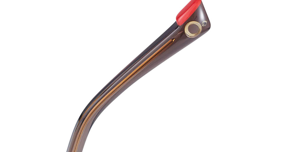 Etnia Barcelona® BRAGANZA 5 BRAGAN 55O HVPU - HVPU Havana/Purple Eyeglasses