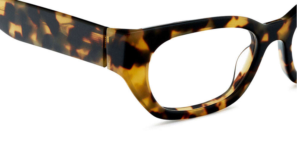 Etnia Barcelona® BRUTAL NO.06 SUN 5 BRUTA6 51O HV - HV Havana Sunglasses