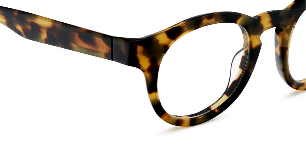 Etnia Barcelona® BRUTAL NO.07 SUN 5 BRUTA7 45O HVBL - HVBL Havana/Blue Sunglasses