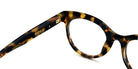 Etnia Barcelona® BRUTAL NO.08 SUN 5 BRUTA8 49O HV - HV Havana Sunglasses