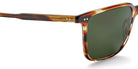 Etnia Barcelona® CALONGE II SUN 5 CALON2 55S HVGR - HVGR Havana/Green Sunglasses