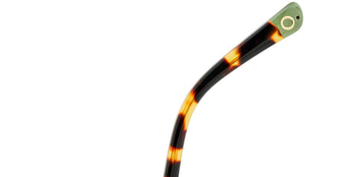 Etnia Barcelona® EIXAMPLE 5 EIXAMP 52S BKHV - BKHV Black/Havana Sunglasses