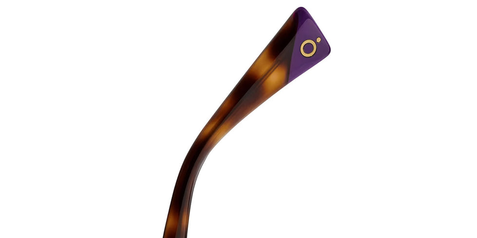 Etnia Barcelona® EPIC 5 EPIC 52S HV - HV Havana Sunglasses