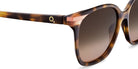 Etnia Barcelona® LICEU 5 LICEU 55S HVOG - HVOG Havana/Orange Sunglasses