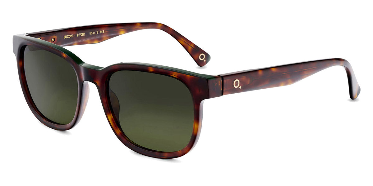Etnia Barcelona® LUZON 5 LUZON 55S HVGR - HVGR Havana/Green Sunglasses