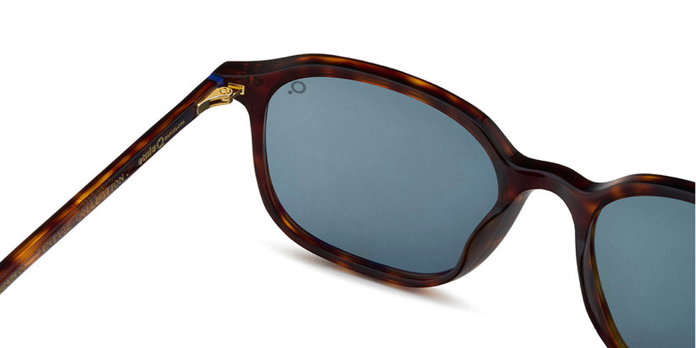 Etnia Barcelona® MONT RAS SUN 5 MONTRA 53S HV - HV Havana Sunglasses