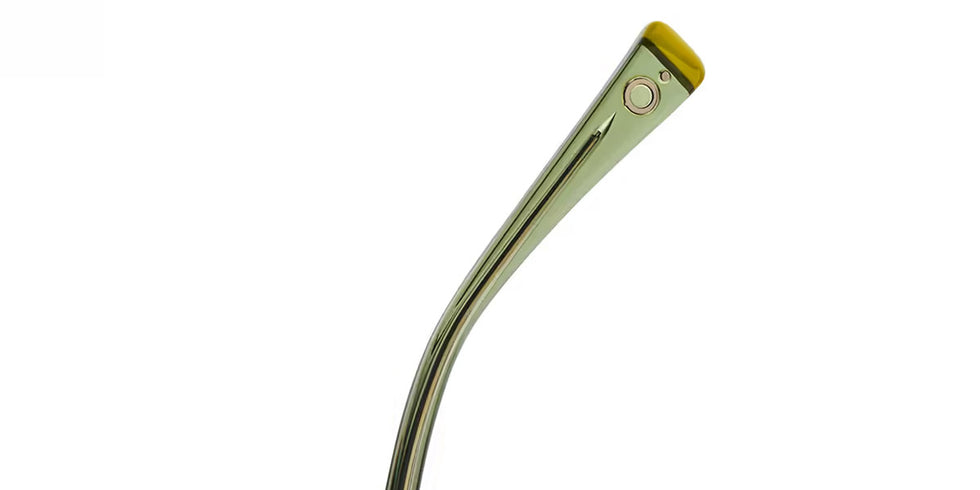 Etnia Barcelona® POL 5 POL 55O HVGR - HVGR Havana/Green Eyeglasses