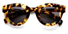 Etnia Barcelona® TAYLOR 5 TAYLOR 45S HVGR - HVGR Havana/Green Sunglasses
