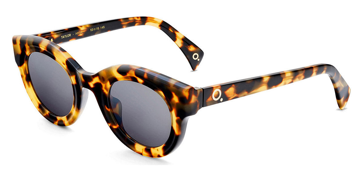 Etnia Barcelona® TAYLOR 5 TAYLOR 45S HVGR - HVGR Havana/Green Sunglasses