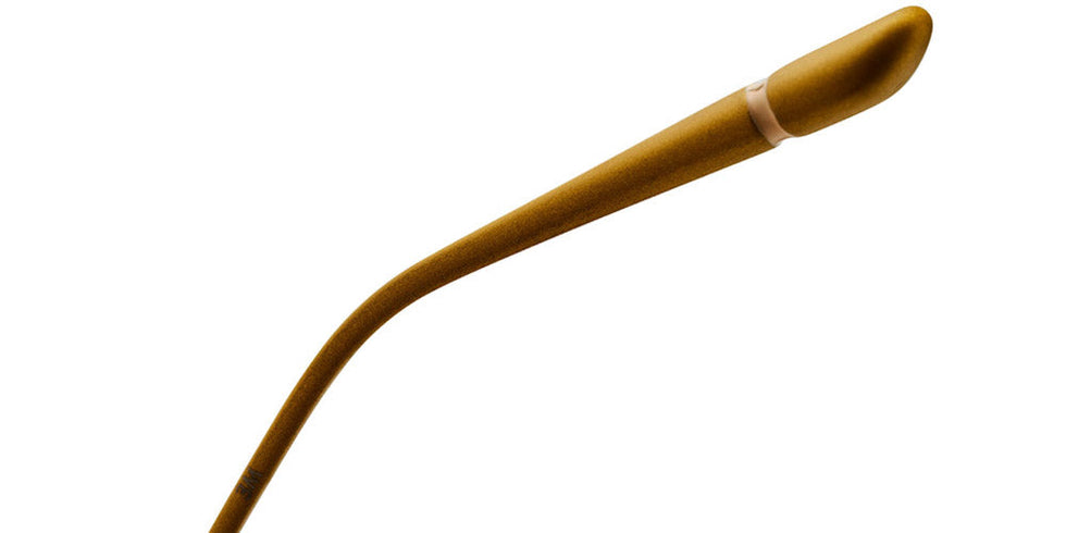 Etnia Barcelona® WATERFRONT SUN 5 WATERF 53S BRGD - BRGD Brown/Gold Sunglasses