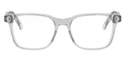 Dior® DIORBOTANICAO S1I CD DIORBOTANICAO S1I 4800 53 - 4800 Crystal Eyeglasses