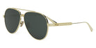 Dior® DIORCANNAGE A1U - Gold/Lenses Green B0C0 Sunglasses