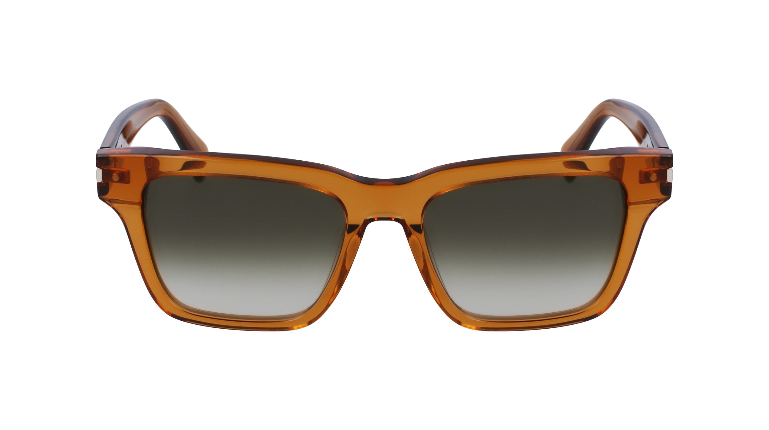Paul Smith® Harberton PSM PS23600S 200 54 - 200 Transparent Brown Sunglasses