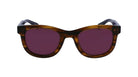 Paul Smith® Halons PSM PSSN098 210 51 - 210 Striped Brown Sunglasses