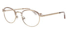ProDesign Denmark® SWITCH 2 PDD SWITCH 2 2022 49 - Gold Medium Shiny Eyeglasses