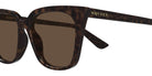 Alexander McQueen® AM0556S AM0556S 002 53 - 002-Havana