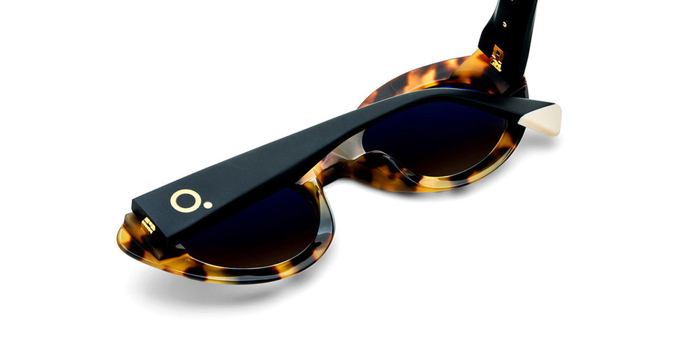 Etnia Barcelona® AMPAT 5 AMPAT 50S HV - HV Havana Sunglasses