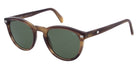 Andy Wolf® AWE01S Sun ANW AWE01S Sun 03 51 - Brown/Silver Sunglasses