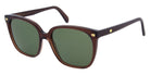 Andy Wolf® AWE04S Sun ANW AWE04S Sun 05 56 - Brown/Gold Sunglasses