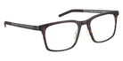 Blac® Valdo Eyeglasses - Brown / Brown