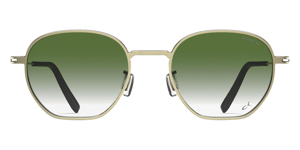 Blackfin® NILES Sunglasses BLF NILES Sun 1777/R041 48 - Brushed Light Gold/R041