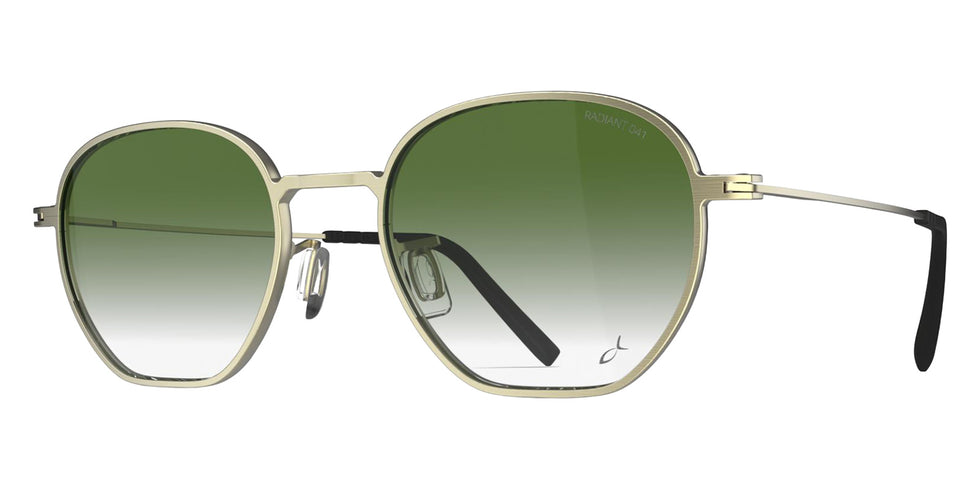 Blackfin® NILES Sunglasses BLF NILES Sun 1777/R041 48 - Brushed Light Gold/R041