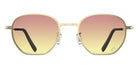 Blackfin® NILES Sunglasses BLF NILES Sun 1777/R046 48 - Brushed Light Gold/R046