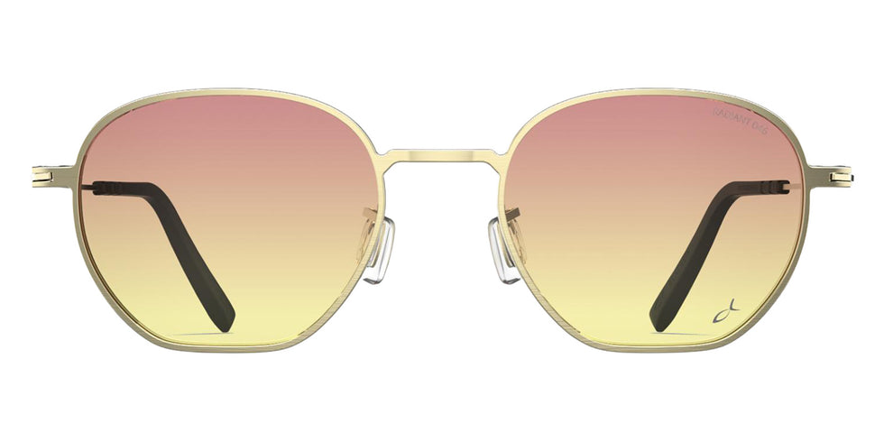 Blackfin® NILES Sunglasses BLF NILES Sun 1777/R046 48 - Brushed Light Gold/R046