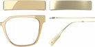 Blackfin® VITRA F6-D1 Eyeglasses BLF VITRA F6-D1 OP 19321777 53 - Shiny Driftwood Gray/Brushed Light Gold