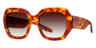 Barton Perreira® Jagger BPR SU Jagger 5403 54 - Havana / Smokey Topaz AR Sunglasses