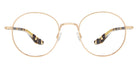 Barton Perreira® Caster BRP CAST5003K - Gold/Crystal/Heroine Chic/Demo Eyeglasses