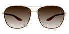 Barton Perreira® Sully BRP SULL5902K - Gold/Tortoise Enamel/Crystal/Chest/Smokey Topaz (AR) Sunglasses