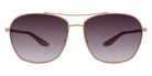 Barton Perreira® Sully BRP SULL5904K - Rose Gold/Desert Rose/Cassis Gradient (AR) Sunglasses