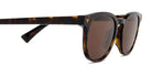 Bottega Veneta® BV1253S BV1253S 002 50 - Havana / Brown Sunglasses